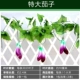 Mô phỏng cây nho lá nho hoa giả khách sạn trong nhà trần điều hòa không khí trang trí cây xanh trồng rau - Hoa nhân tạo / Cây / Trái cây hoa giả đẹp