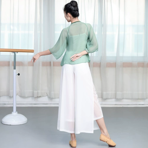 Классическая танцевальная одежда Служба служба китайского древнего стиля сетка новая форма, элегантная служба Женская искусство Тестовый танец девушка