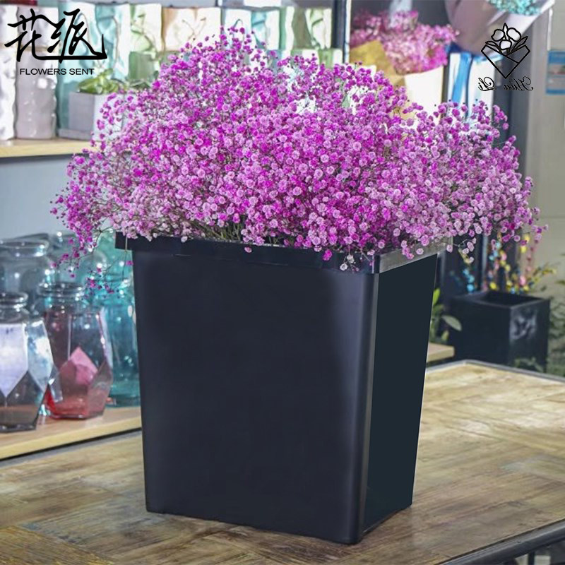 French wake bucket bucket bucket plastic flowers florist large florist shop specialized specialty supplies