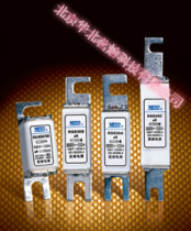 MRO melter fuse RGS30A 3NE87 690V 800V20A