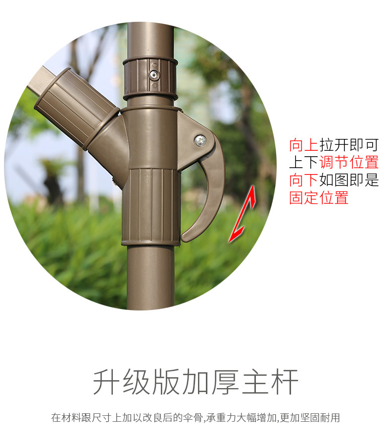 Banana intbella_10.jpg