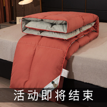 Duvet quilted by 95 white goose down by thickened and warm winter quilt core duck suede by single double cotton quilted by spring and autumn quilt 8 10 catty