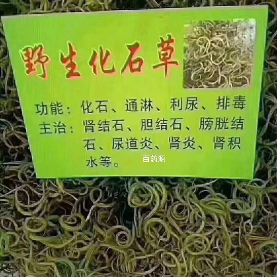 Authentic Yunnan pure natural wild fossil herbal tea Chinese herbal medicine kidney essence tea purple blue grass cat ear grass cat whisker grass