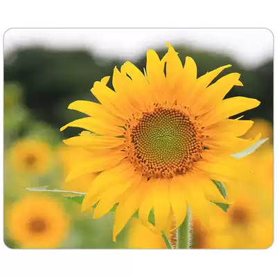 Flowers, trees, mouse mats, sunflowers, bright flowers, Sun DIY mouse mats, 18*22*0 3cm