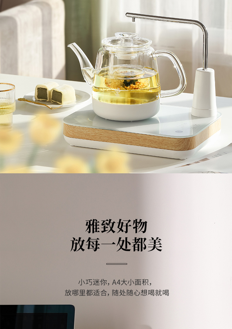 Water boiled tea ware home office on lamp automatic tea kettle small tea pot pot set furnace