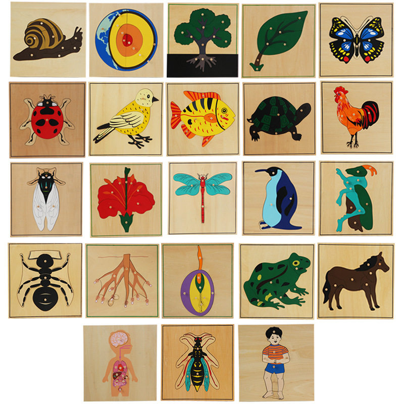 Montessori teaching aids Montessori kindergarten early education center three grid five grid cabinet plywood puzzle panel