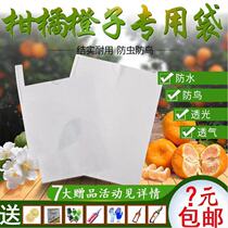 Citrus special bag for citrus not to know the fire ugly orange Orange Orange orange peach mango loquat Cherry strawberry bag