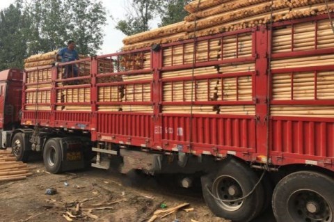 Cây cột bộ giữ đường phố nhựa đặt cốc cung cấp cây khung khung hỗ trợ khung bảo vệ khung khung cây ở lại - Nguồn cung cấp vườn vòi xịt nước tưới cây