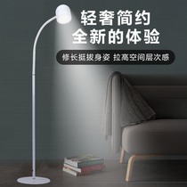 Floor lamp students learn special living room bedroom bedside study sofa side reading practice piano lamp