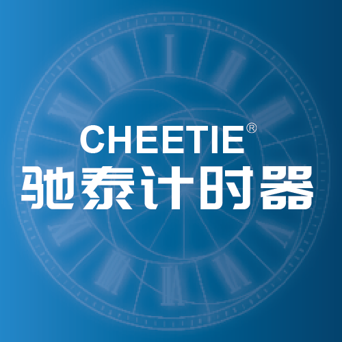 驰泰计时器企业店