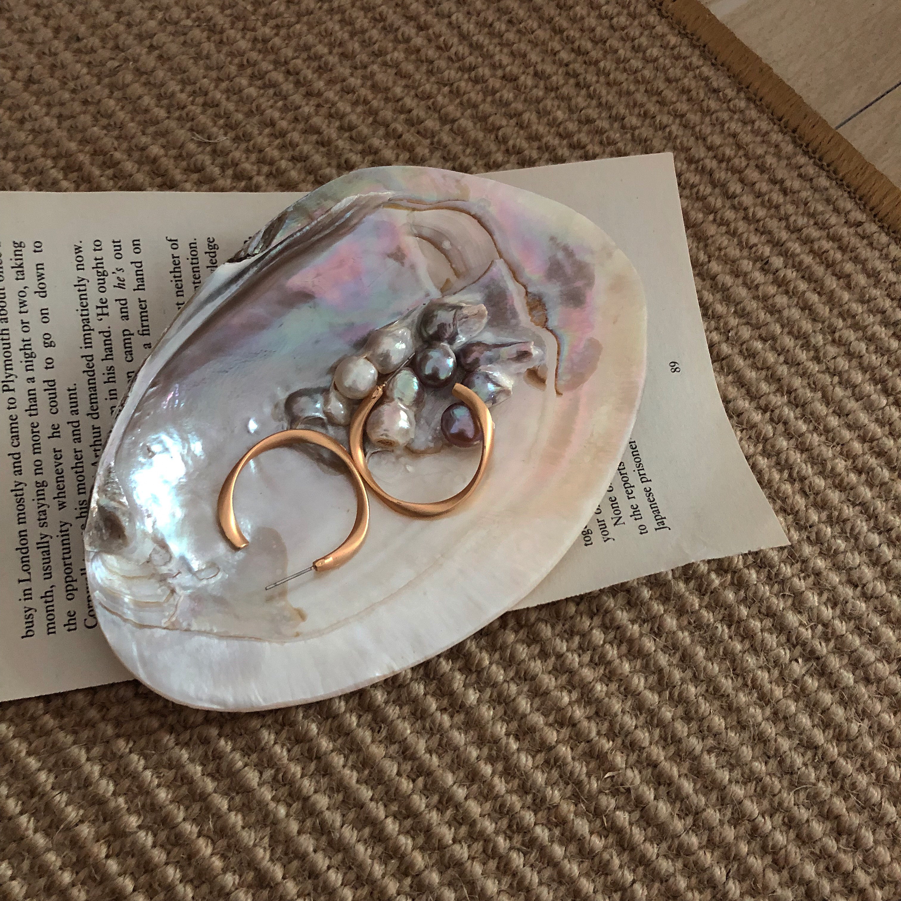 TJJ -- Wild Shell Ornament Swing Pat Shells and Swing Pat Props Small Debris containing the nursery tray