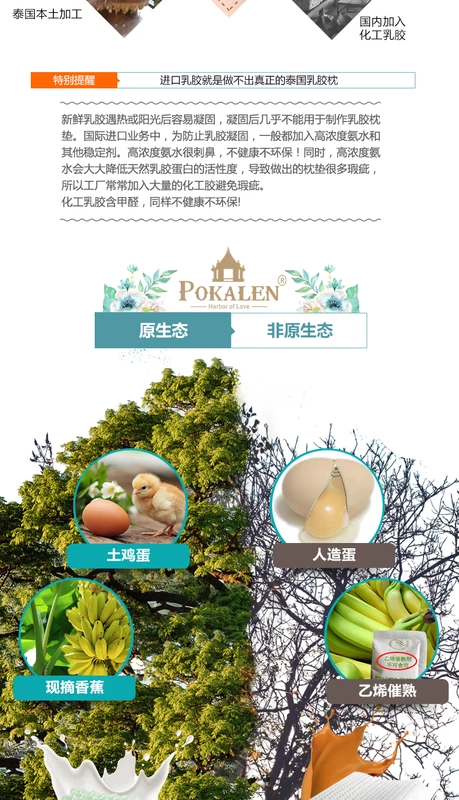 Gối cao su thiên nhiên POKALEN Thái Lan nhập khẩu ion âm nguyên chất chăm sóc sức khỏe cổ gối gối cao su - Gối
