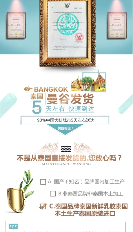 Gối cao su thiên nhiên POKALEN Thái Lan nhập khẩu ion âm nguyên chất chăm sóc sức khỏe cổ gối gối cao su - Gối gối bầu