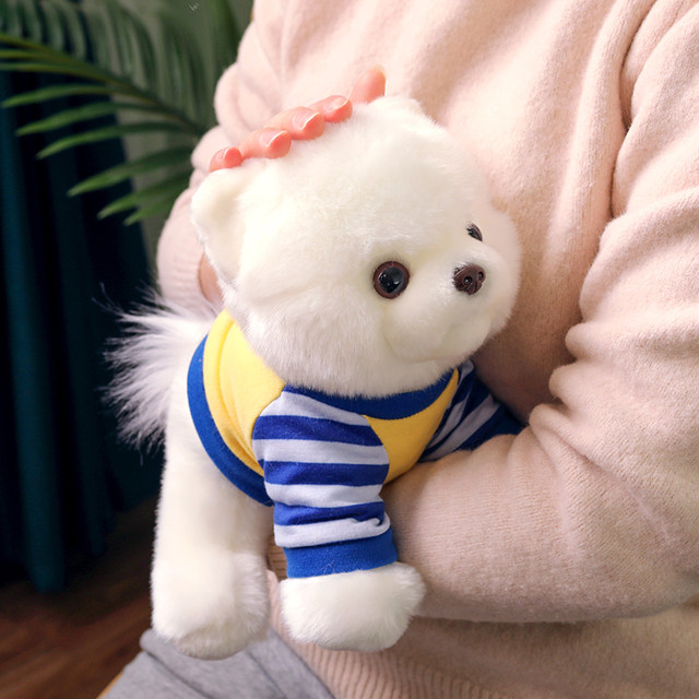 ຫມາງາມ Pomeranian doll plush toy simulation teacup dog puppy doll ຂອງຂວັນວັນເກີດສໍາລັບເດັກຍິງ