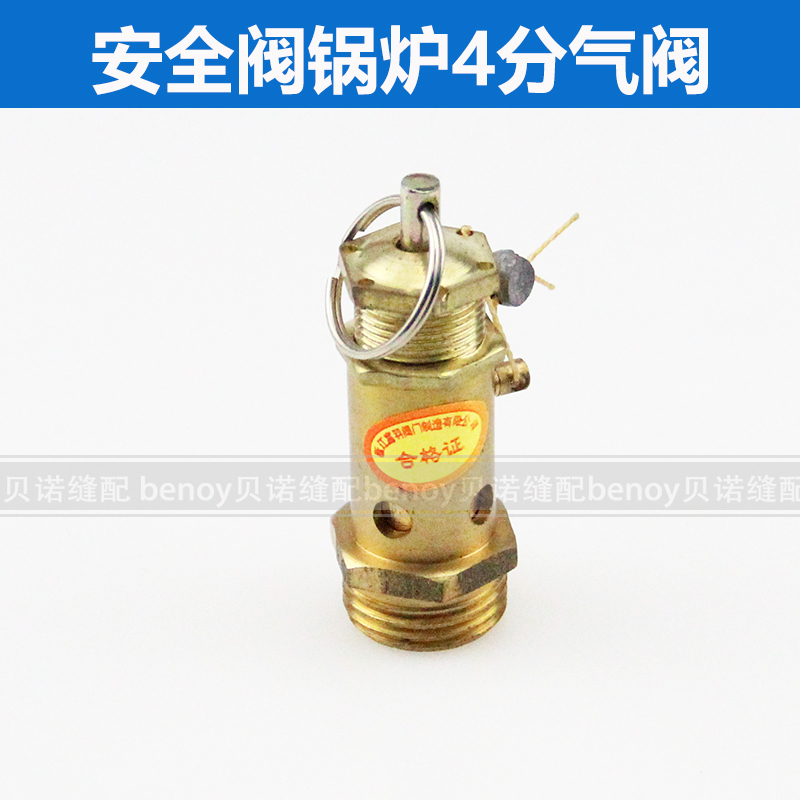 Boiler iron safety valve steam generator boiler safety leakage valve 3 kW boiler safety valve 4 points