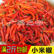 Farmhouse Old Tan Chili Farmhouse Homemade Old Tan Chen Pao Red Rice Spicy Chaoist Pickle Fried Vegetable Seasoning 500g