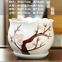 Один большой источник цветов персика