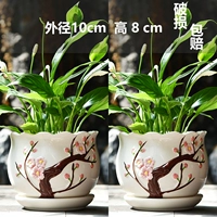 Два расцвета персика труба