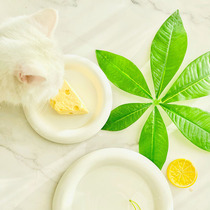 One Woven Cat Nordic Ceramic Pet Plate Round Dinner Plate Creative Cutlery Cat Basin Pooch Universal Canned Saucer