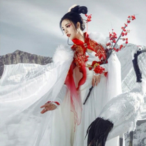 Simulation plum branch wax plum peach blossom Hanfu photography photo props Home living room decoration fake flower photo bouquet