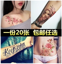 Throw maternity scars Tattoo stickers Fun kinky lines Belly caesarean section Cover stretch marks Sexy private parts Waterproof anti-wear