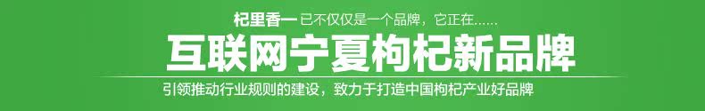 五星描述第4版4_15.jpg