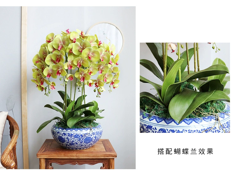 cây trúc giả PU cao cấp mô phỏng phong lan Clivia Phalaenopsis lá trang trí cắm hoa cây xanh trang trí phòng khách cây trồng trong chậu anthurium cây giả đẹp chậu hoa giả để bàn