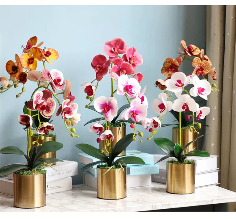 giả hạc hoa hồng đỏ Người nổi tiếng trên Internet Phalaenopsis nhân tạo đồ trang trí hoa hoa bàn phòng khách cắm hoa trong nhà hoa giả chậu cây cắm hoa trang trí chậu hoa lan giả cây lá phong giả