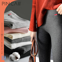 Color pantyhose womens spring and autumn and winter leggings thick Korean version of thin anti-hook silk plus velvet thickened gray outer wear