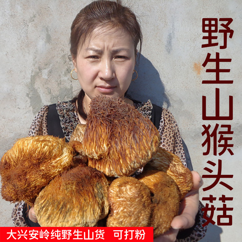 Wild lion's head mushroom dried goods 250g Northeast specialty mountain goods Daxinganling special grade wild lion's head mushroom to nourish the stomach powder