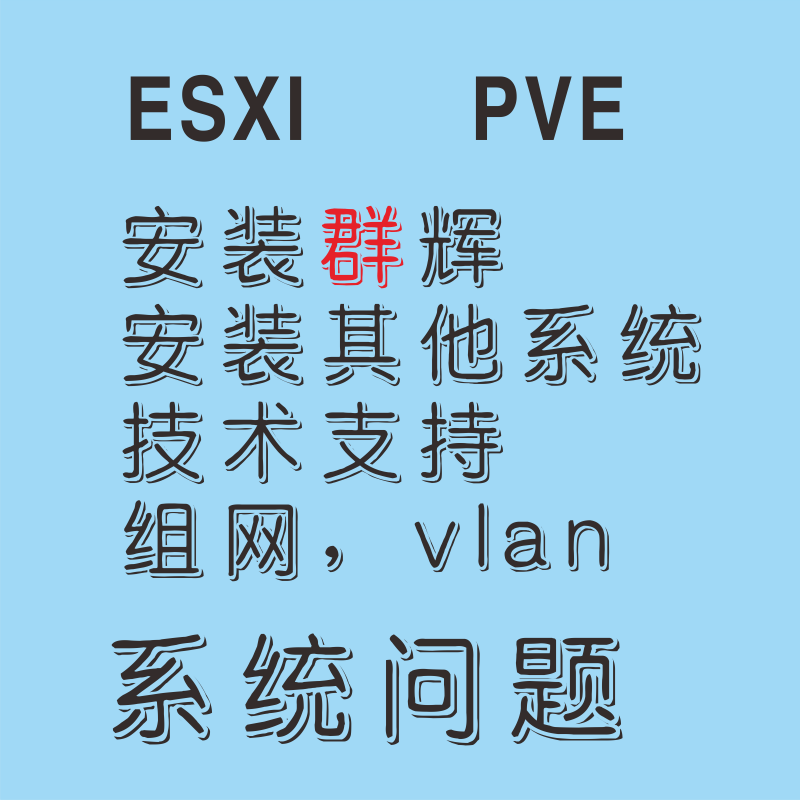 Esxi Technical Support, Pve Installation, Synology Technical Support, Vlan Support, Support for Other Systems, Remote Support