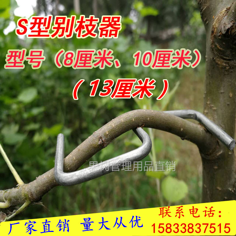 Fruit tree Lassers SM Shaper Bending Branches Open Corner Instrumental Citrus Apple Trees Press Branches and branches Branches Farewell