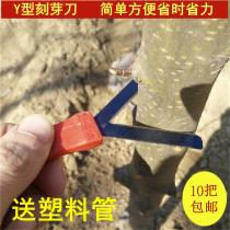 Y-shaped ring scissors carving Bud knife fruit tree ring stripping knife gardening ring cutting knife garden tool Yongdezu