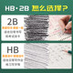 Genuine Chinese pencils for primary school students lead-free first grade hb pencils special writing with eraser children kindergarten 2 to 2b exam 2h sketch painting writing learning stationery supplies