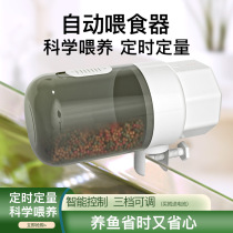 Simple automatic timed fish feeder ornamental fish turtle large particle feed fish tank aquarium feeder