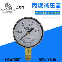 YW60 propane pressure reducer meter propane pressure gauge Shanghai brand reduction factory Shanghai pressure reducer Factory Co. Ltd.