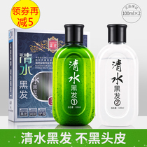 Rihu Dye Hair Clean Water Black Hair One Wash Black Shampoo Natural Plant Black Paste 100ml * 2 Recipe