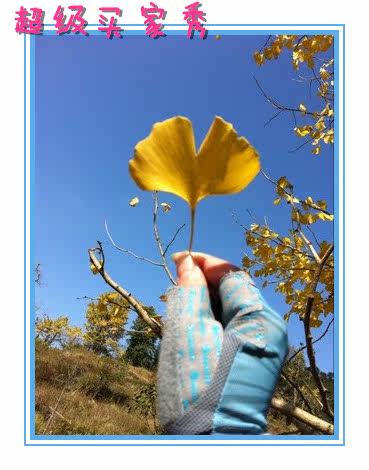 Gants pour vélo femme SUMMIT - Ref 2238889 Image 17
