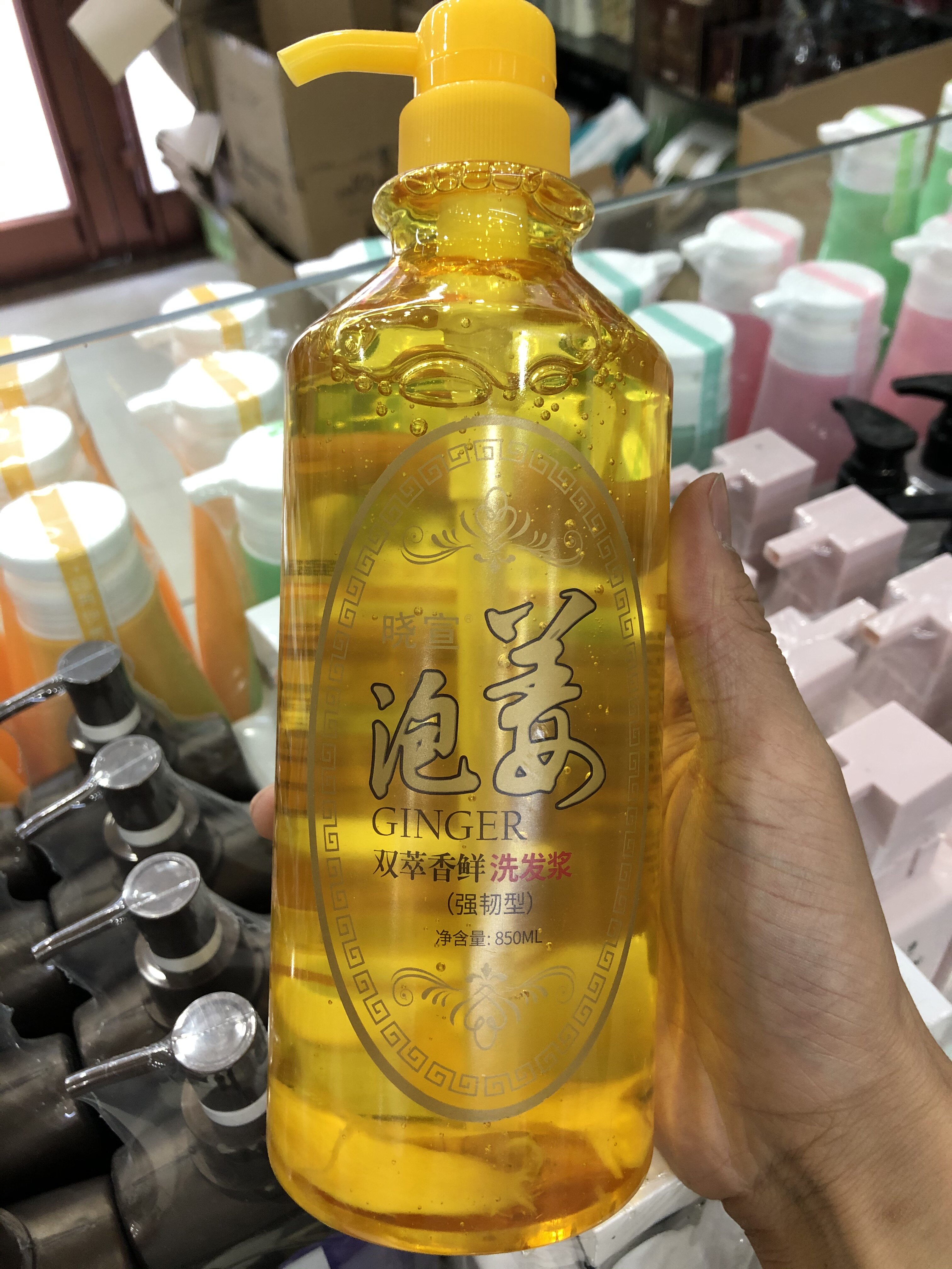 Xiaoxuan bubble ginger hair shampoo 850ml silicone-free dandruff nourishing and smooth