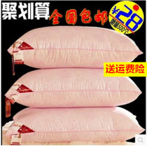 Daily special price pillow pillow core pair shooting 2 whole cotton pillow core Single student hotel bed with supplies pillows
