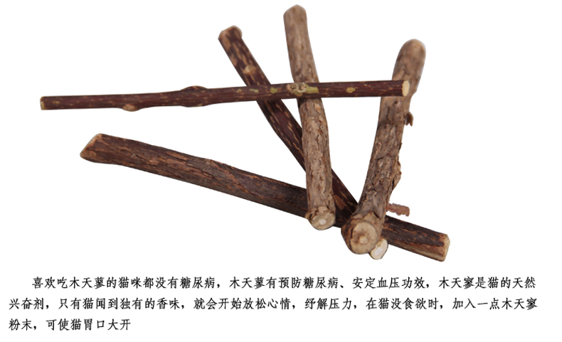 Mèo răng hàm răng dính bọ cạp bằng gỗ catnip cat snack 10 grams hai gậy thức ăn mèo catsrang