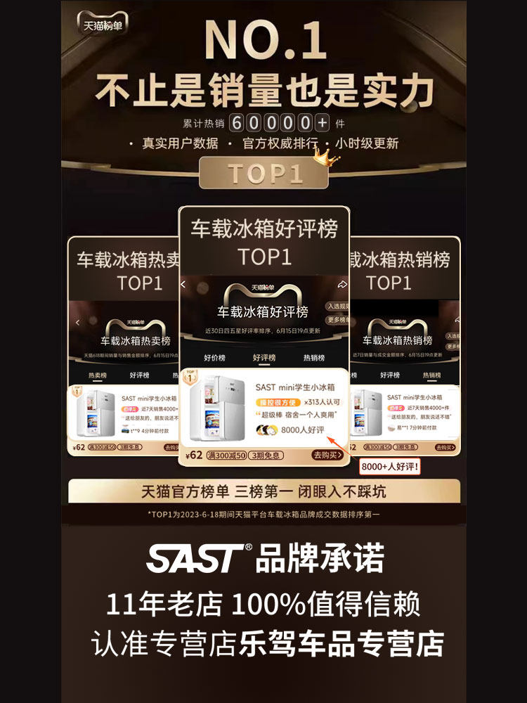 Sast Mini Refrigerator Mini Freezer Refrigeration Car-Mounted Home Dormitory Breast Milk Office Student Small Freezer