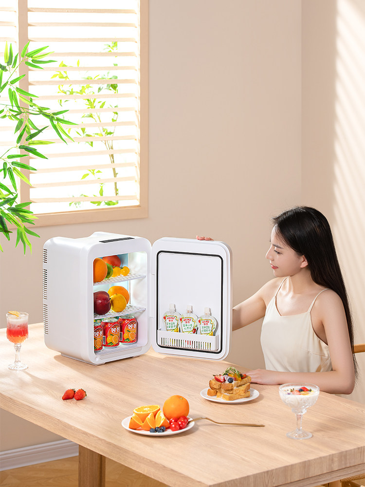 Sast Mini Refrigerator for Freezing and Refrigeration, Suitable for Car, Home, Dormitory, Cosmetics, Facial Masks, Preservation, Rental Housing, and Milk Storage
