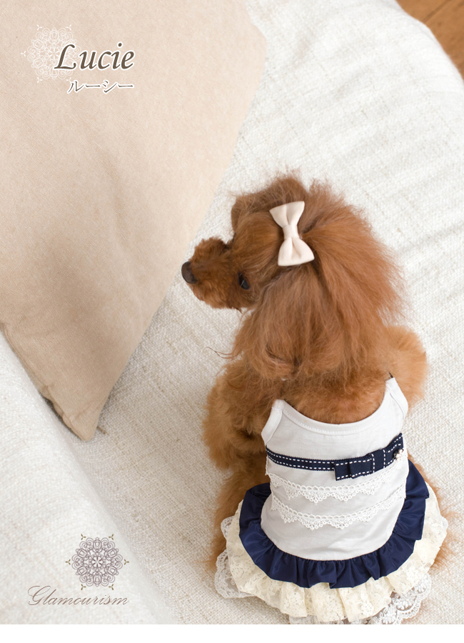 Spot chó cưng Nhật Bản mùa xuân và mùa hè mỏng phần ren bông hoa trang trí váy vest - Quần áo & phụ kiện thú cưng quần áo cho chó phốc sóc
