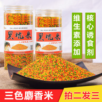 Carp bait Synthetic musk rice Wild fishing special nesting material Crucian carp grass carp black pit wine rice bulk formula