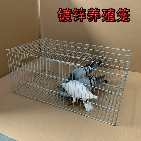 Pigeon breeding cage rabbit cage large chicken cage household galvanized wire cage transport cage quail cage pet rabbit cage large