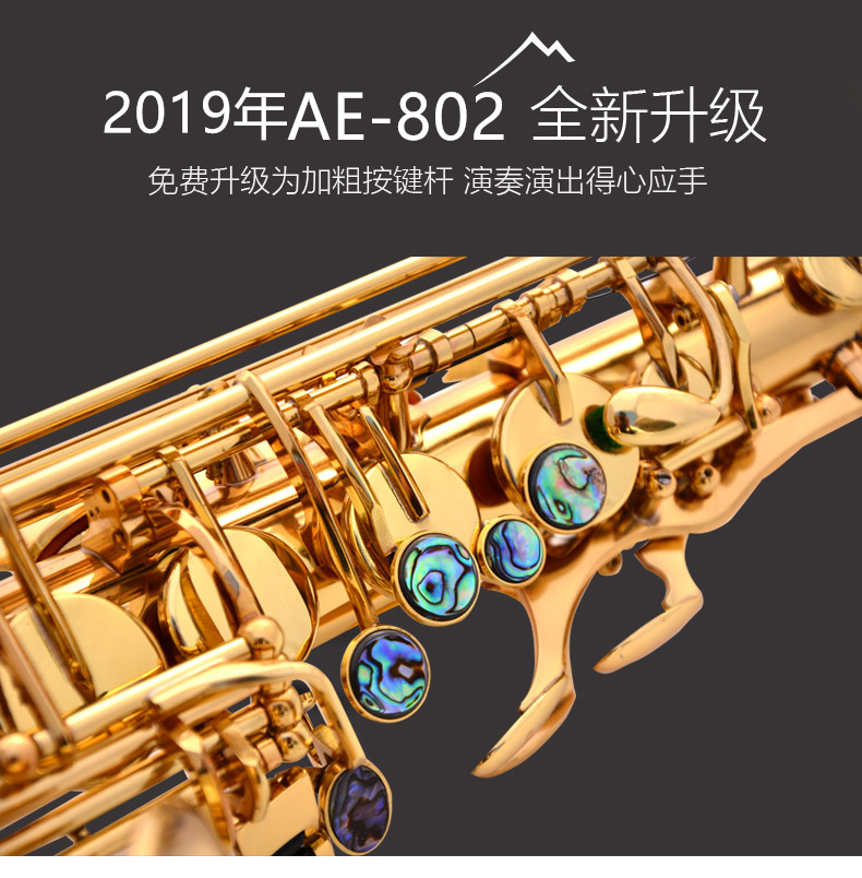 Lehmann e-Flat alto sax instrument hai phím saxophone chính dành cho người mới bắt đầu - Nhạc cụ phương Tây trống da