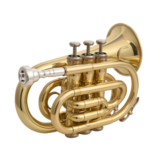 莱曼Laiiman降B调手掌号乐器学生儿童成人初学考级专业教学演奏