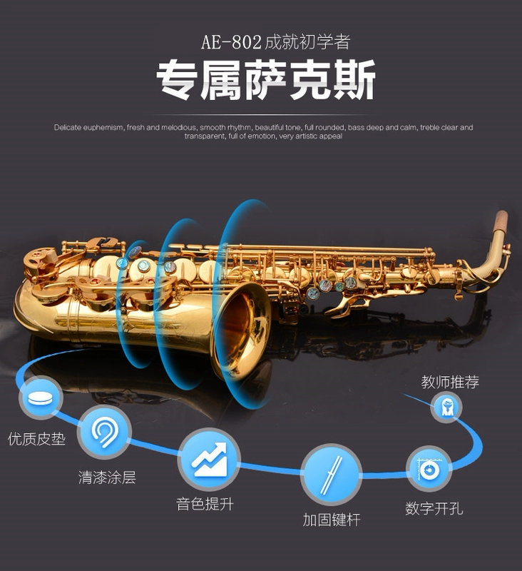 Lehmann e-Flat alto sax instrument hai phím saxophone chính dành cho người mới bắt đầu - Nhạc cụ phương Tây