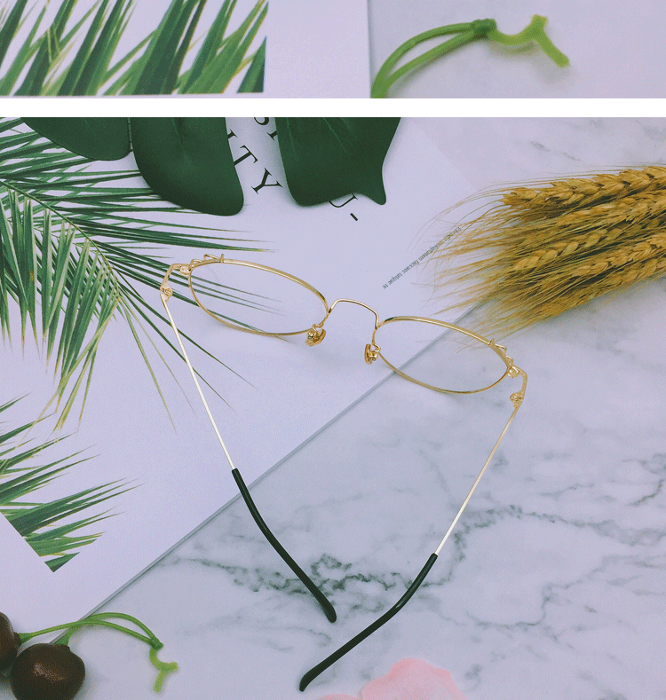 Montures de lunettes en Alliage de nickel - Ref 3139856 Image 17